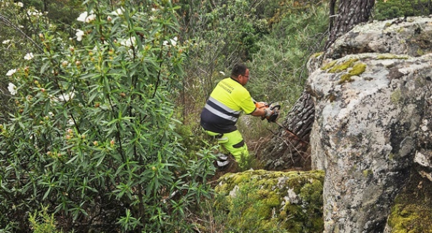 Conservación de la línea eléctrica a Sta. Catalina. Podas realizadas por personal del Ayuntamiento de Valdemaqueda,  apoyados por Poda en Altura (T.D.A.)